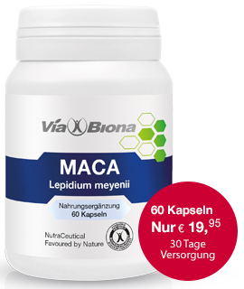 Maca