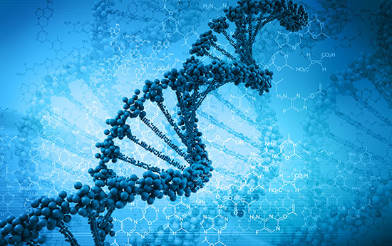 Das koerpereigene Zellschutzsystem staerken