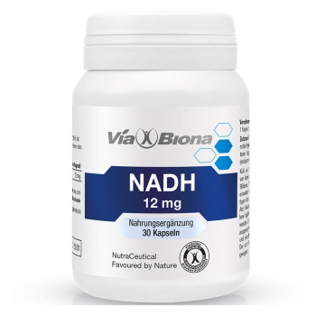 NADH - Coenzym 1