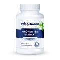 Grüner Tee Extrakt