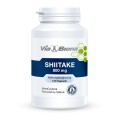 Shiitake 800mg