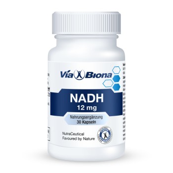 NADH - Coenzym 1