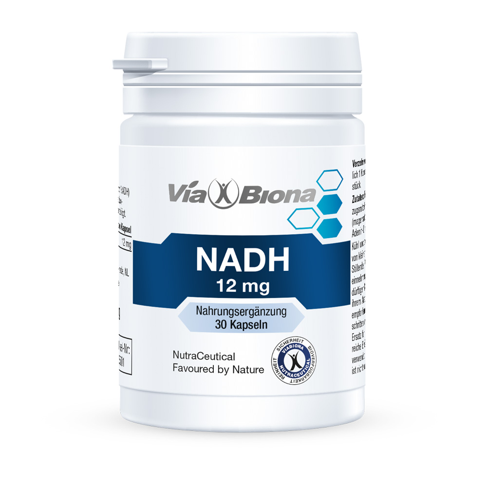 NADH - Coenzym 1